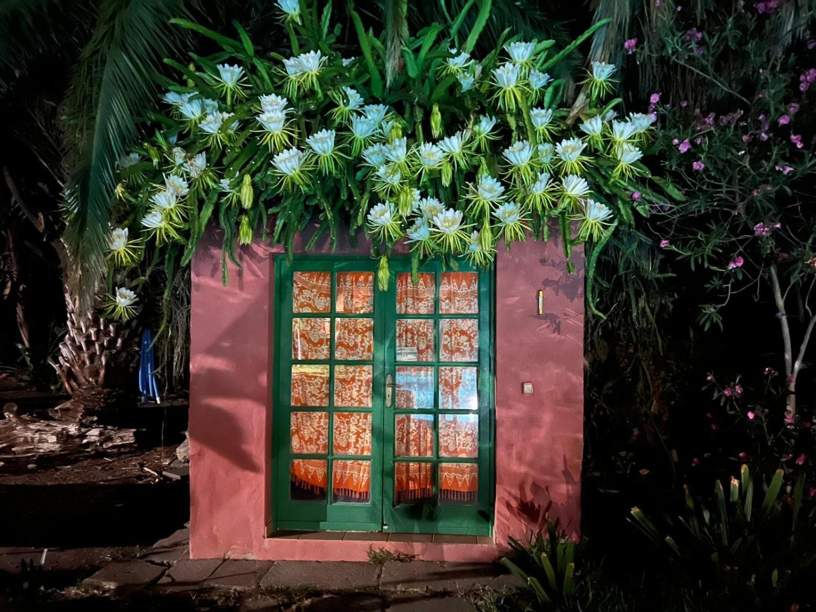 La Casa Del Molino De Viento Villa อากาเอเต ภายนอก รูปภาพ